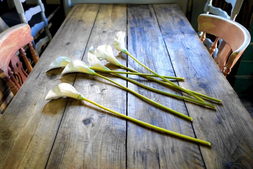 Flores de lirio